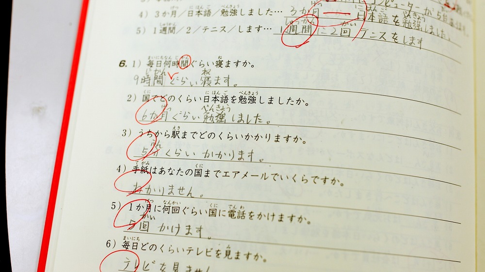入学案内