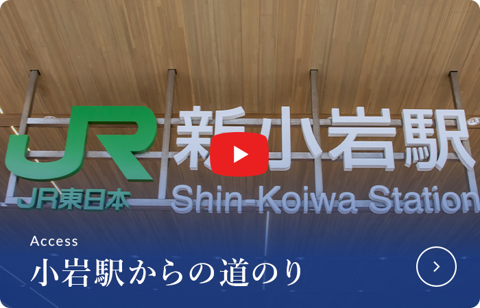 小岩駅からの道のり